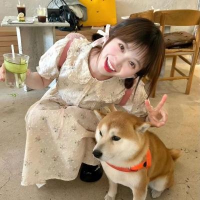 星际精灵